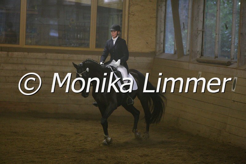 007L6815_Dean McCloud_Dresspferde A.JPG